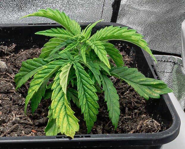 20231211_0001 HR Ausschnitt