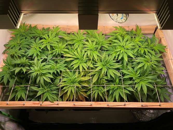 Growreport Bild 12