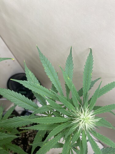 Growreport Bild 9