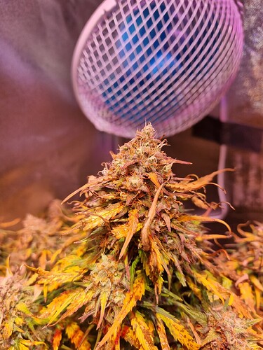 Growreport Bild 13