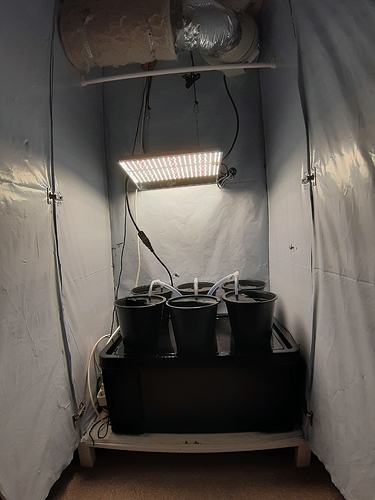 Growreport Bild 1