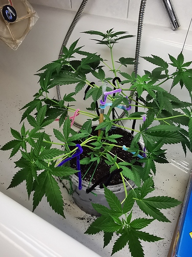 Growreport Bild 10