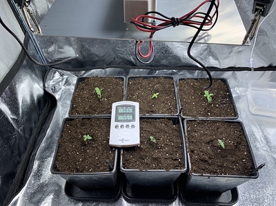 Growreport Bild 27
