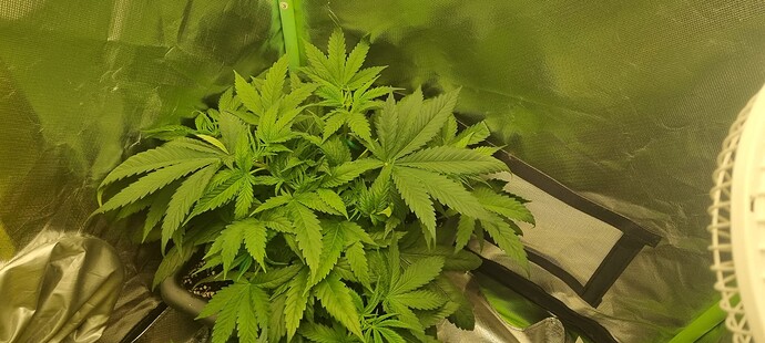 Growreport Bild 8