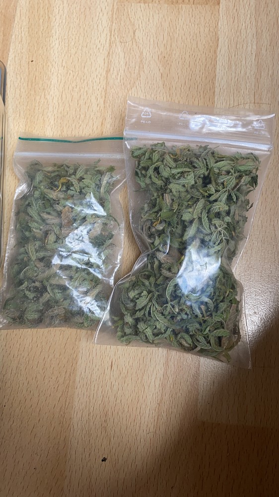 Erster Microgrow