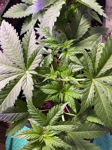 Growreport Bild 10