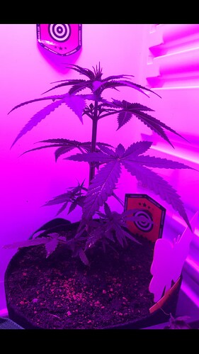 Growreport Bild 16