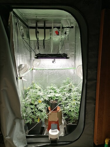 Growreport Bild 5