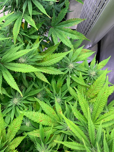 Growreport Bild 8