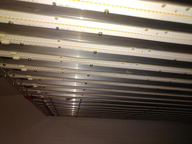 IMG_20230713_125115.cleaned