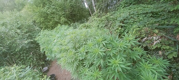 Growreport Bild 17
