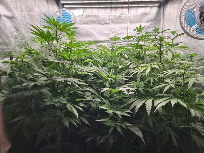 Growreport Bild 18
