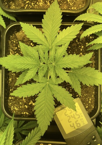 Growreport Bild 9