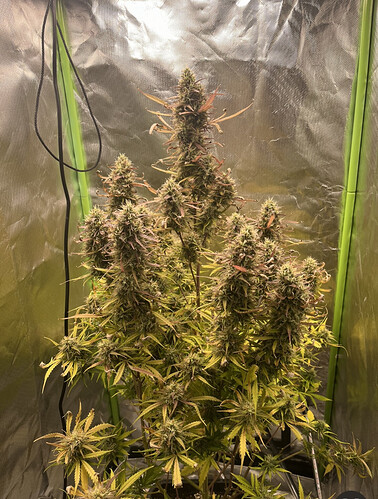 Growreport Bild 26