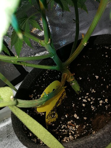 Growreport Bild 6