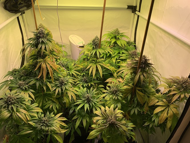 Growreport Bild 2