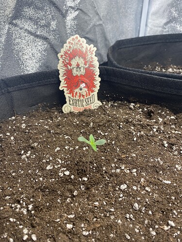 Growreport Bild 3