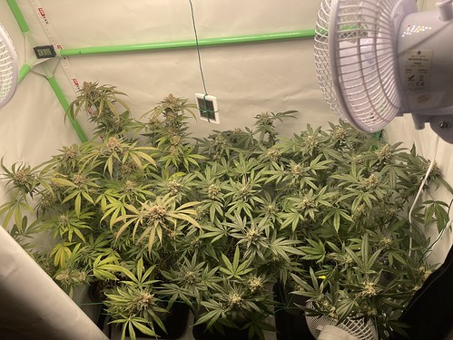 Growreport Bild 16