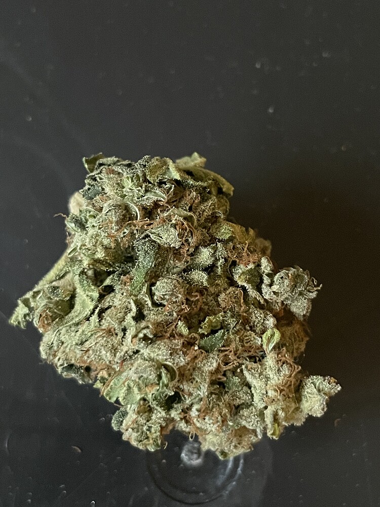 Die fruchtige Versuchung 🍋🍌Ü 20% Grow mucho USA