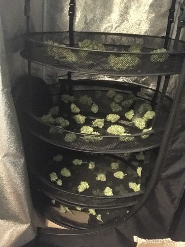Growreport Bild 11