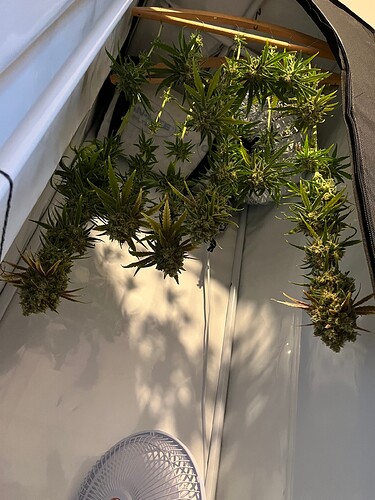 Growreport Bild 59
