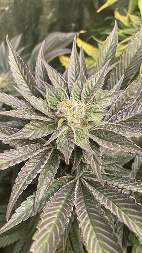 Growreport Bild 23