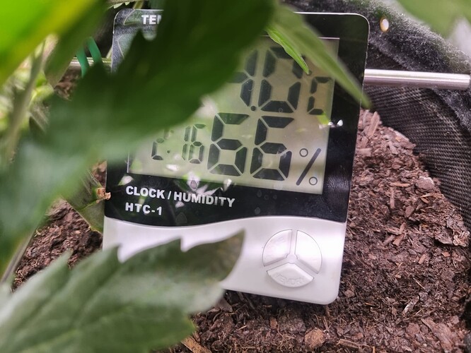 Growreport Bild 47