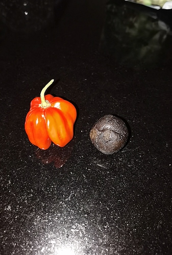 Growreport Bild 7