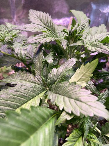 Growreport Bild 10