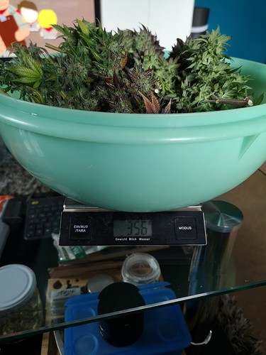 Growreport Bild 10