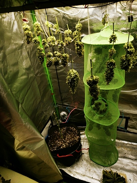 Growreport Bild 15