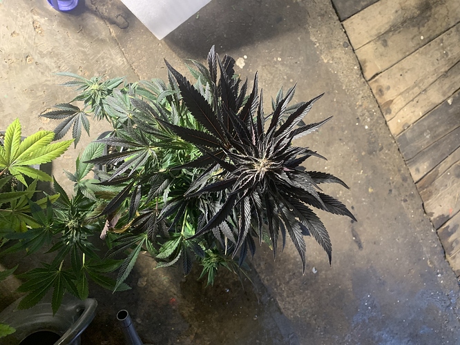 Growreport Bild 11