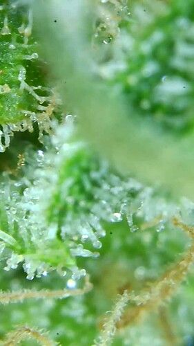 Growreport Bild 12