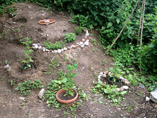 Growreport Bild 12