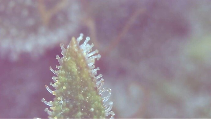 Growreport Bild 4