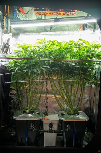 Growreport Bild 9