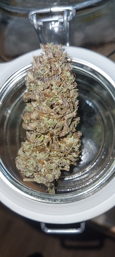 Growreport Bild 17
