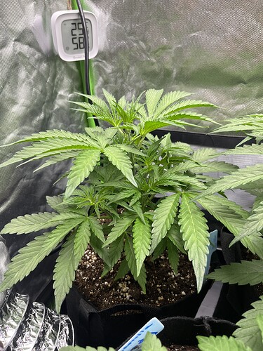 Growreport Bild 22