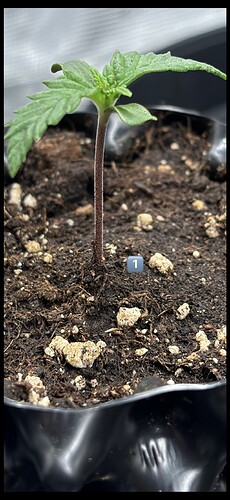 Growreport Bild 30