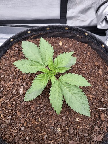 Growreport Bild 50