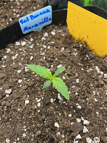 Growreport Bild 3