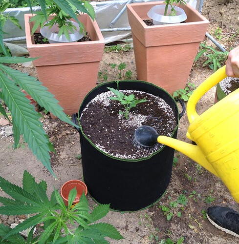 074_FastBudsZeltTag1_08