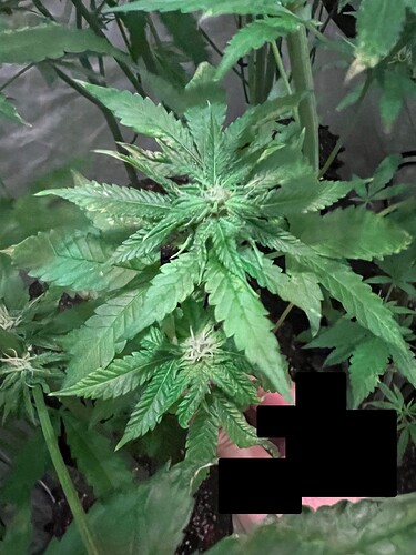 760D306F-A3B6-465A-BE01-8BD94D8A3326