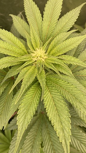 Growreport Bild 24