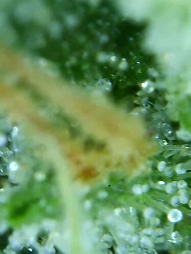 Growreport Bild 22