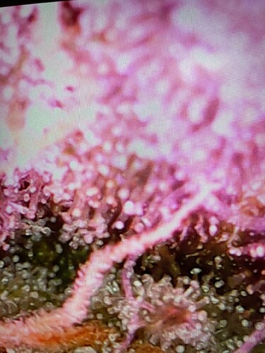 Growreport Bild 8