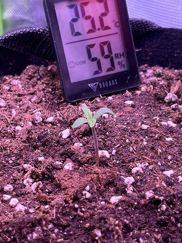 Growreport Bild 8