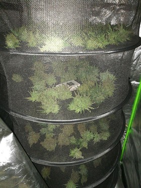Growreport Bild 4