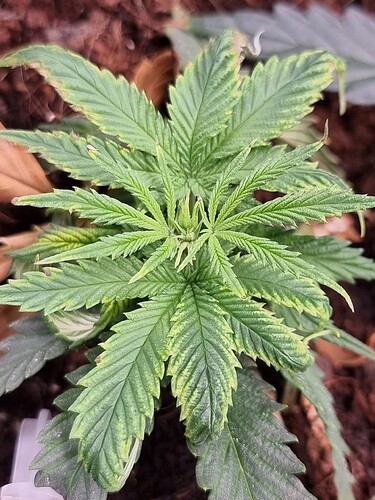 Growreport Bild 9