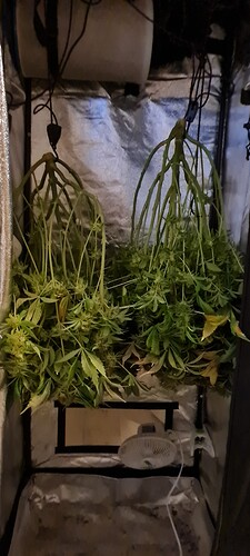 Growreport Bild 2